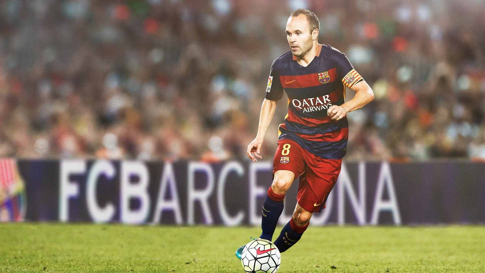 麦金托什女子自由泳项目冉冉升起新星，麦金托什的著名作品