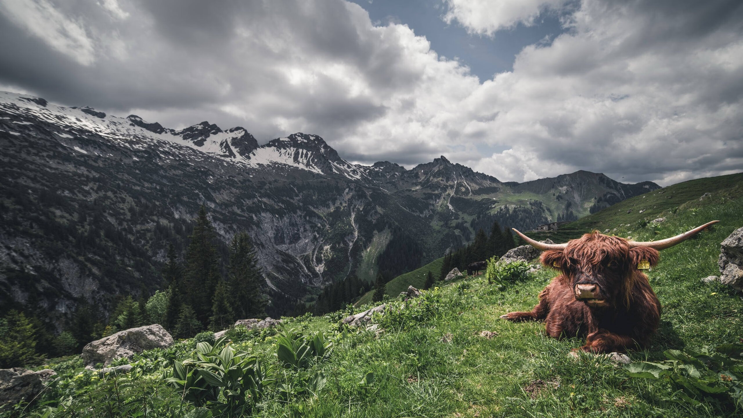 AIYOUXI.COM-“未来之星：全国青少年足球基础训练营盛大开营”，校园足球未来之星申报材料2020年