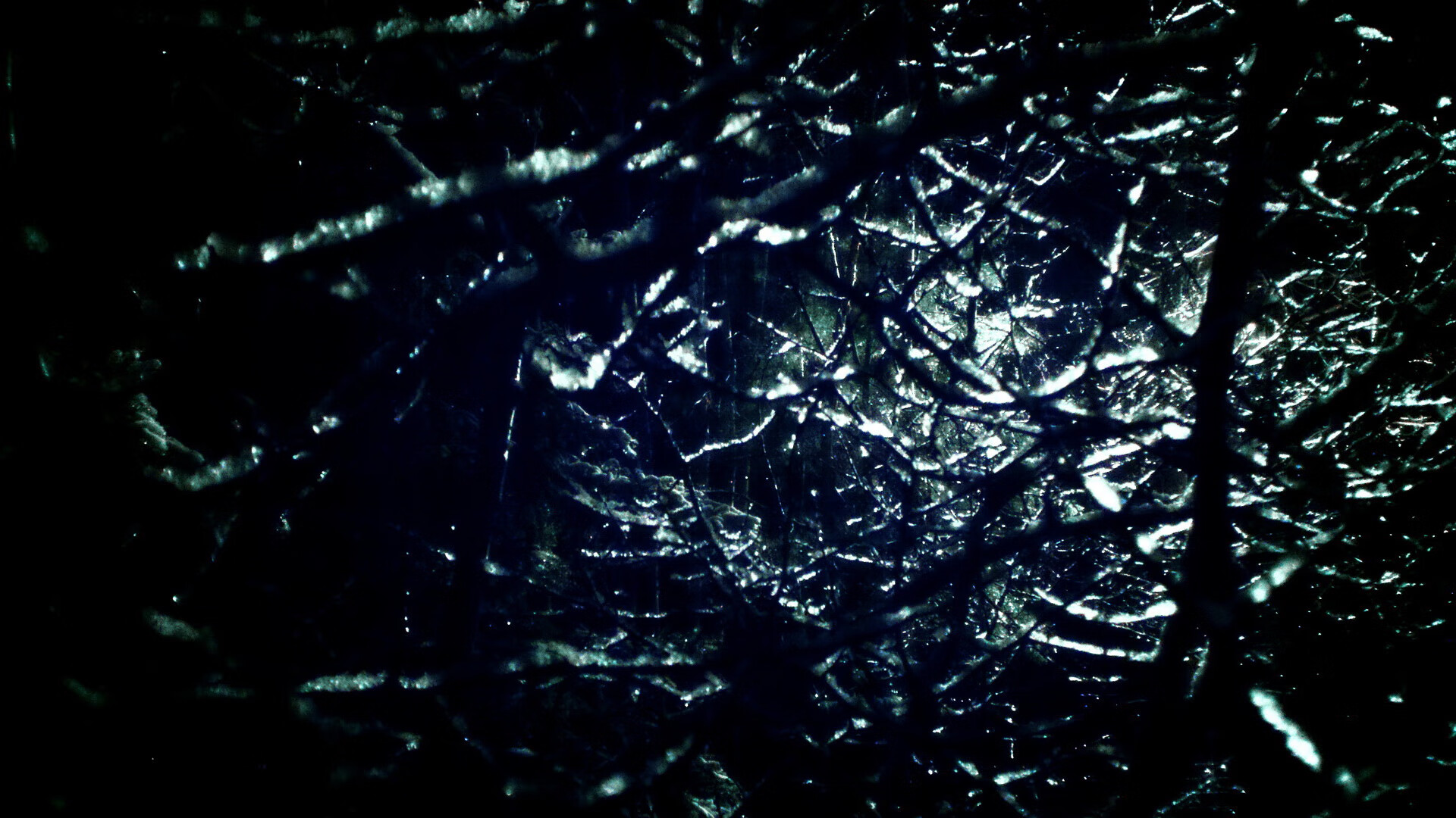 爱游戏中国官方网站平台-哥伦比亚骑手胡利安娜·古铁雷斯在2024年巴黎奥运会盛装舞步比赛中取得第25名，展现出色表现。